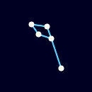 Delphinus