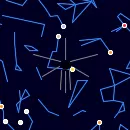 beta-Hydrusids 
