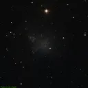 IC1613 