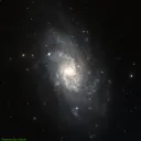 Triangulum Galaxy (M33) 