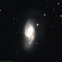 M66 