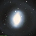 NGC1269 