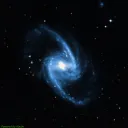 NGC1365