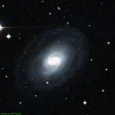 NGC1367
