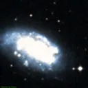 NGC1559