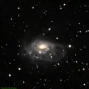 NGC1961