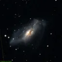 NGC2146 