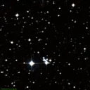 NGC2184 