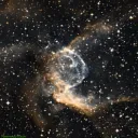 NGC2359 