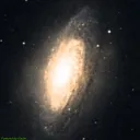 NGC3521 