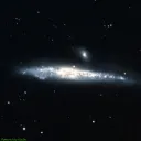 Whale Galaxy (NGC4631) 