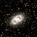 NGC6300