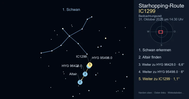 So findest du IC1299 mithilfe von Schwan
