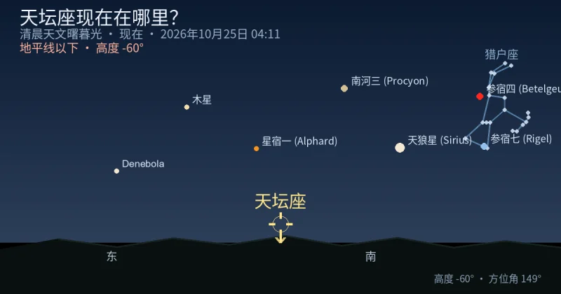 Ara现在在哪里？