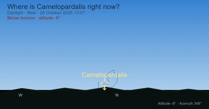 Where is Camelopardalis right now?