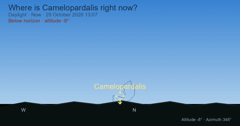 Where is Camelopardalis right now?