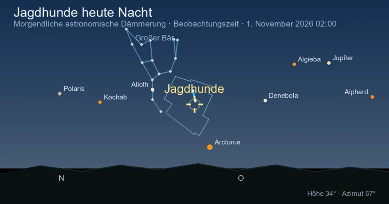 Jagdhunde heute Nacht