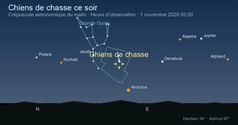 Chiens de chasse ce soir