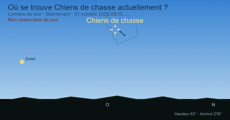 Où se trouve Chiens de chasse actuellement ?