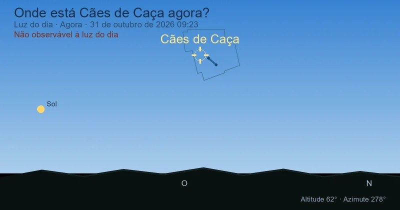 Onde está Cães de Caça agora?