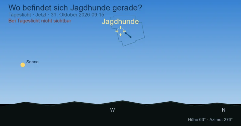 Wo befindet sich Jagdhunde gerade?