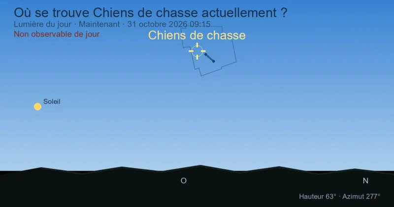 Où se trouve Chiens de chasse actuellement ?