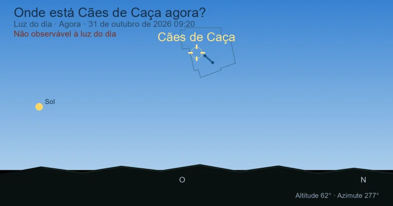 Onde está Cães de Caça agora?