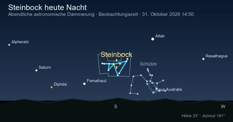 Steinbock heute Nacht