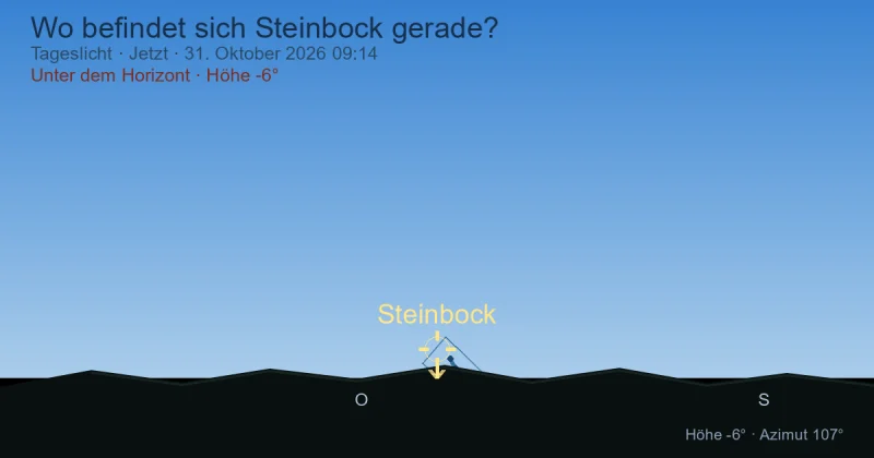 Wo befindet sich Steinbock gerade?
