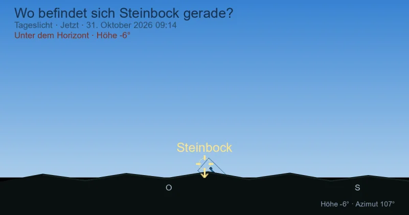 Wo befindet sich Steinbock gerade?