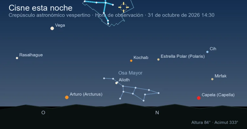 Cisne esta noche