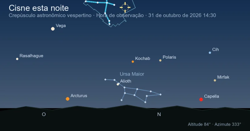 Cisne esta noite