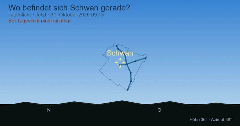 Wo befindet sich Schwan gerade?