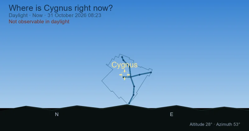 Where is Cygnus right now?