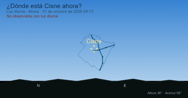 ¿Dónde está Cisne ahora?