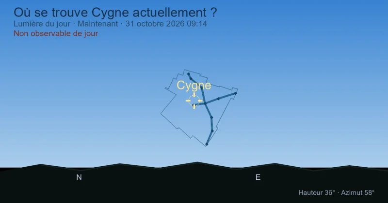 Où se trouve Cygne actuellement ?