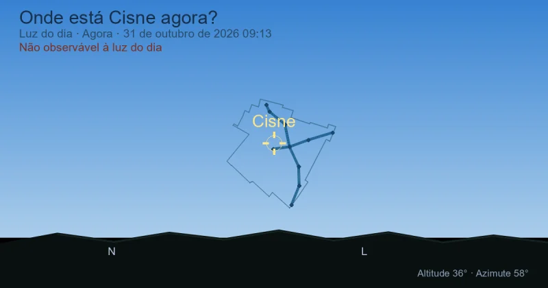 Onde está Cisne agora?