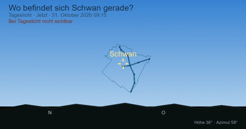 Wo befindet sich Schwan gerade?
