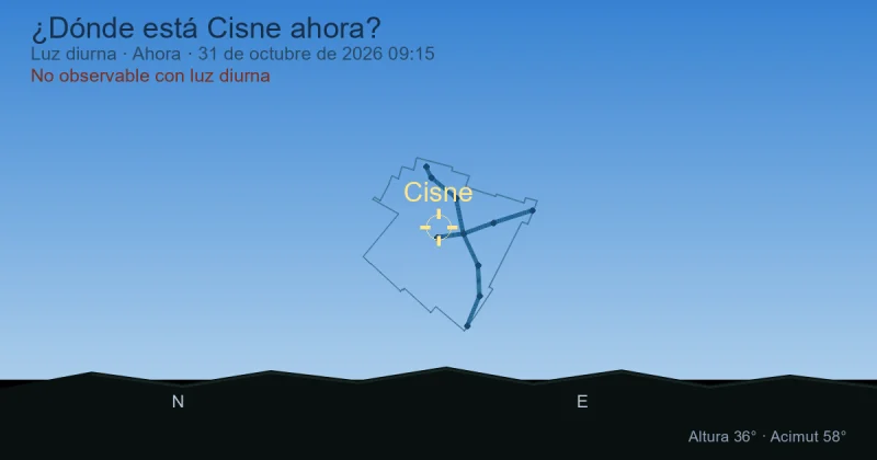 ¿Dónde está Cisne ahora?