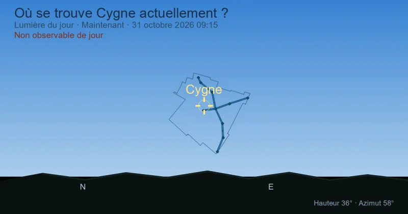 Où se trouve Cygne actuellement ?