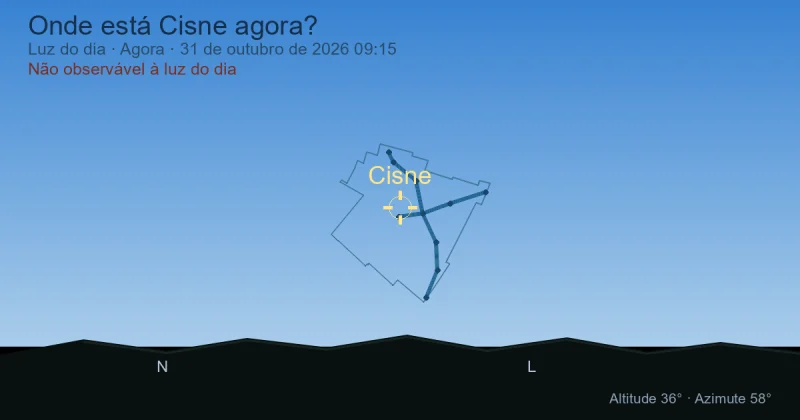 Onde está Cisne agora?