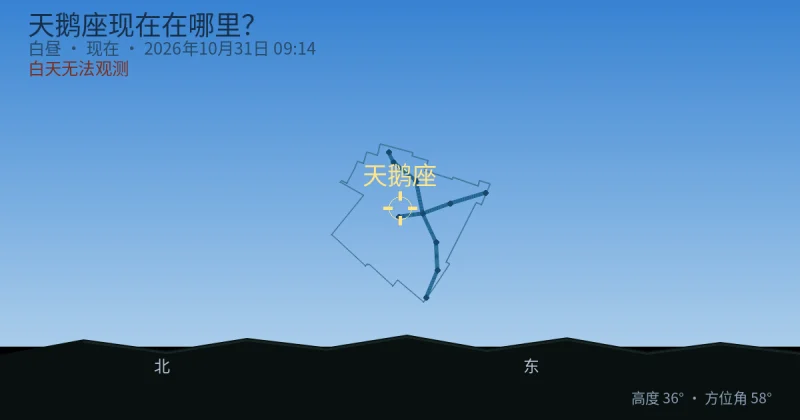 天鹅座现在在哪里?