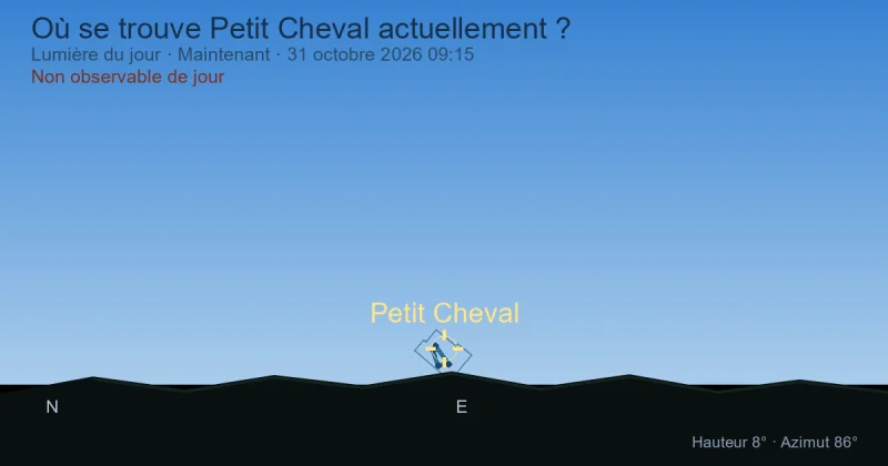 Où se trouve Petit Cheval actuellement ?