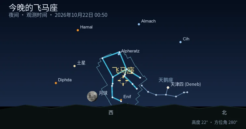 今晚的Pegasus