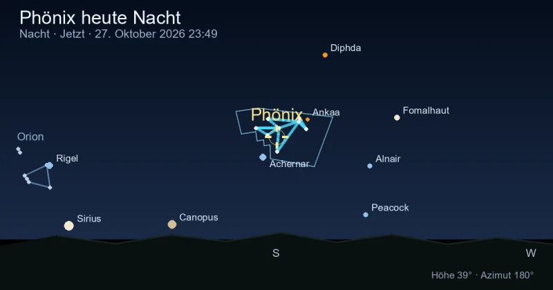 Phoenix heute Nacht
