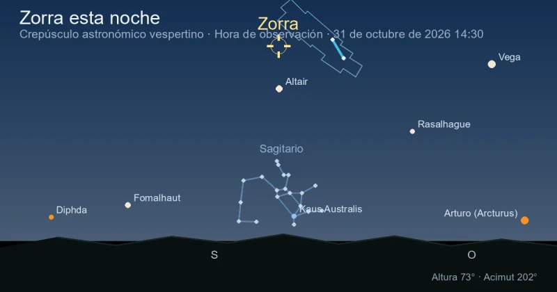 Zorra esta noche