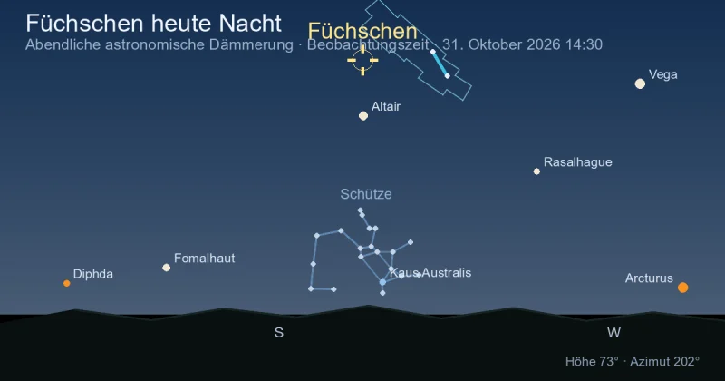 Füchschen heute Nacht