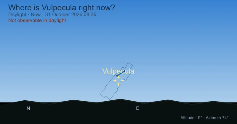 Where is Vulpecula right now?
