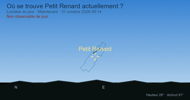 Où se trouve Petit Renard actuellement ?