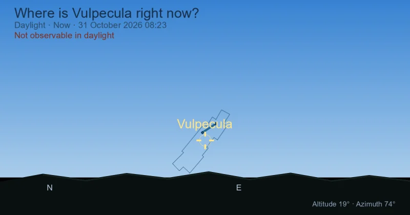 Where is Vulpecula right now?